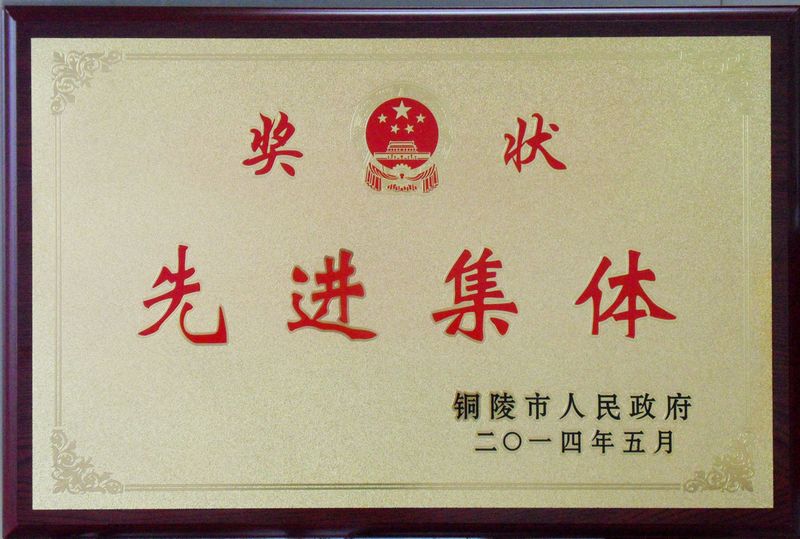 铜陵市先进集体