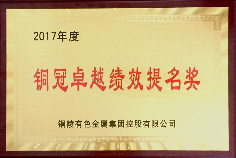 铜冠卓越绩效提名奖