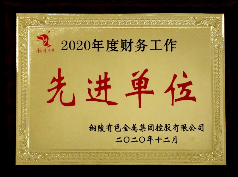 公司荣获集团公司财务工作先进单位称号
