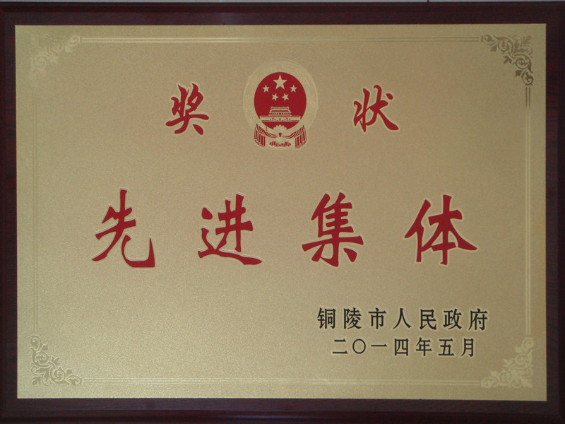 2014年铜陵市先进集体奖牌