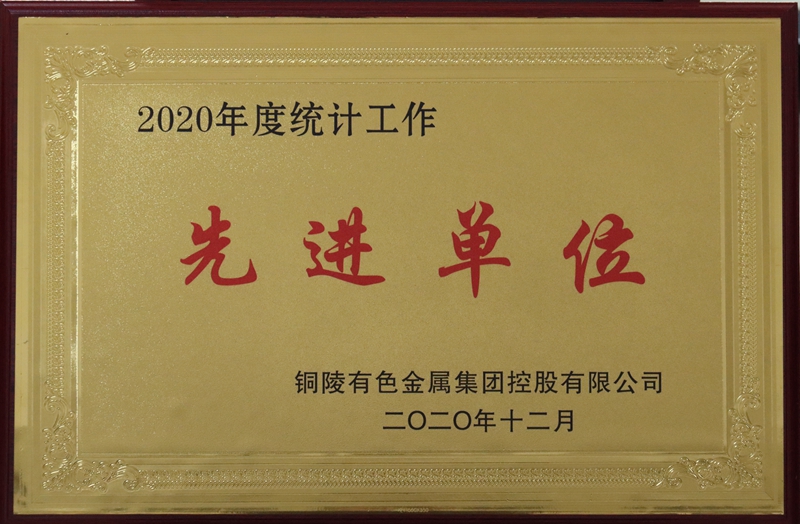 2020年度统计工作先进单位称号