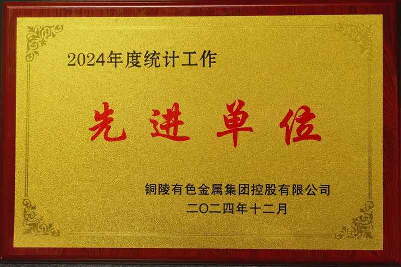 公司获集团公司2024年度统计工作先进单位称号